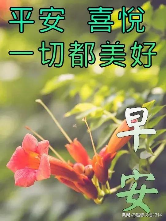 清晨发朋友圈的早安祝福问候语，清晨最美早安问候祝福语温馨短句