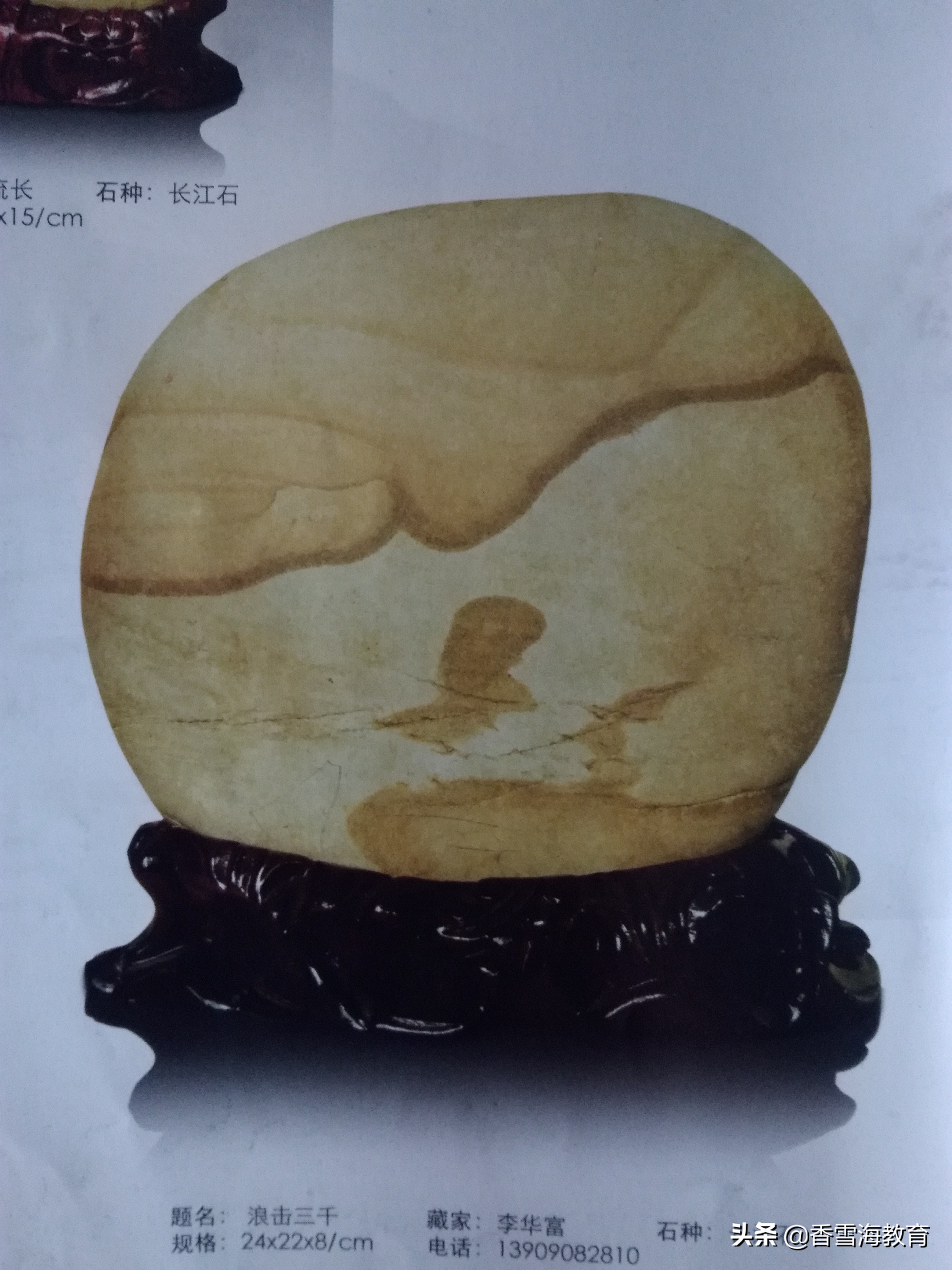 2018年江西省中考语文试卷  参考答案与试题解析