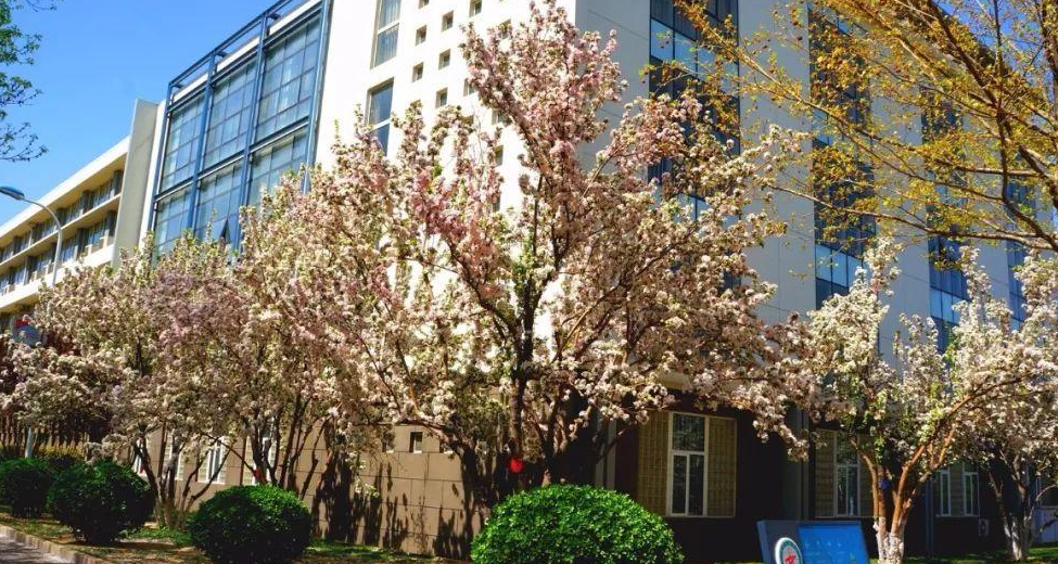 中等生就能考上的军校，毕业会有铁饭碗，薪资好待遇高