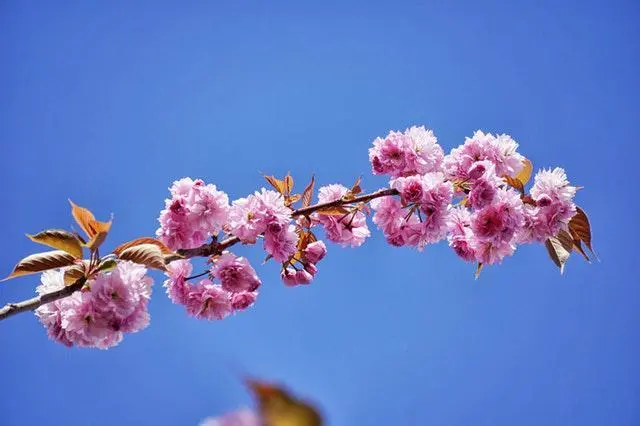 每日一句正能量短语：太阳每天都是新的，不要辜负了美好的晨光