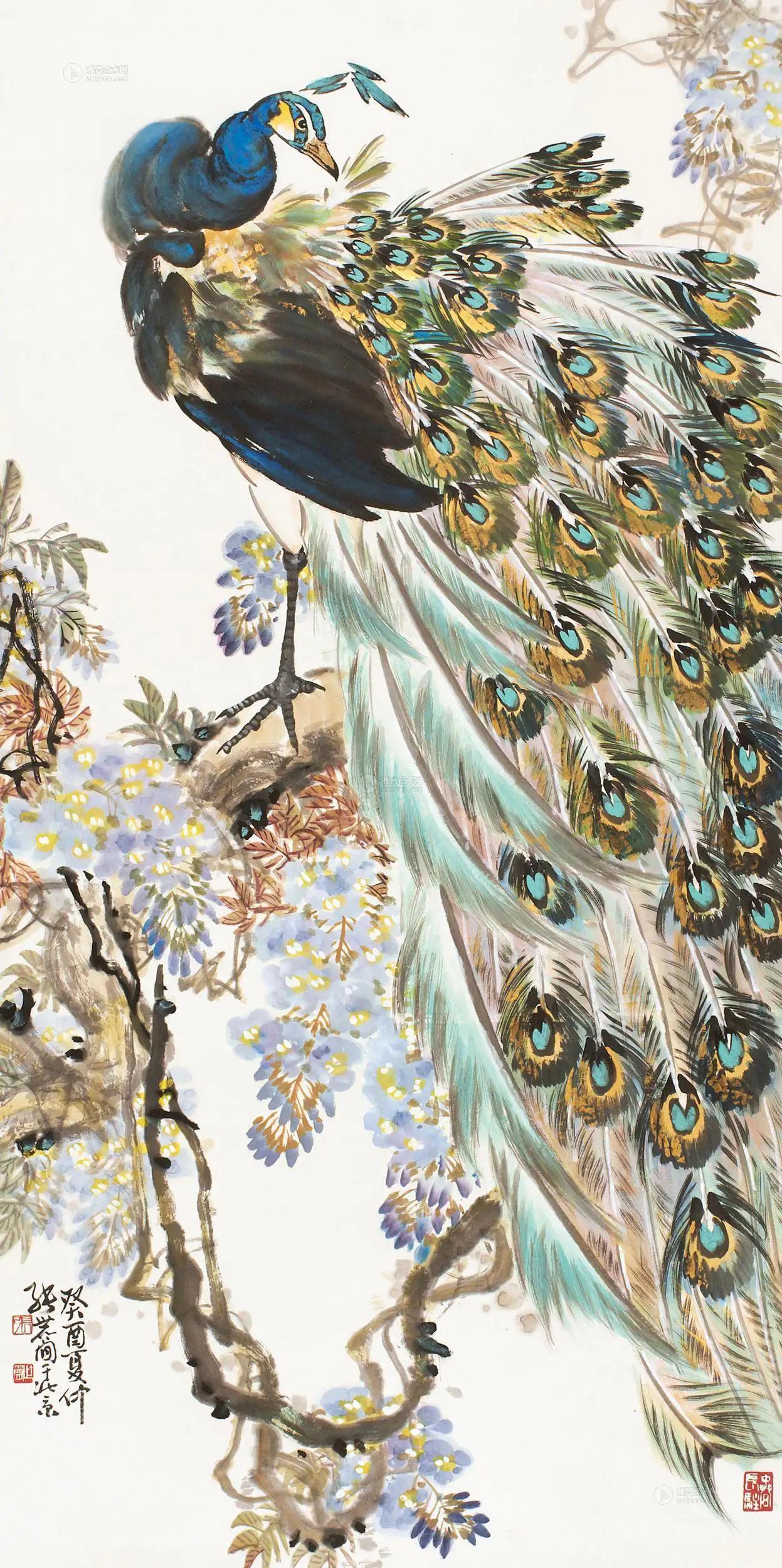 高贵,冷艳的白孔雀