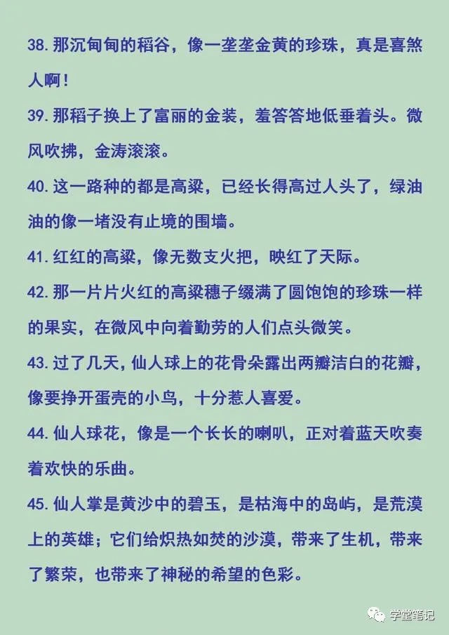 清华学霸妈妈整理:常用的排比句、比喻句、夸张句、拟人句,珍藏
