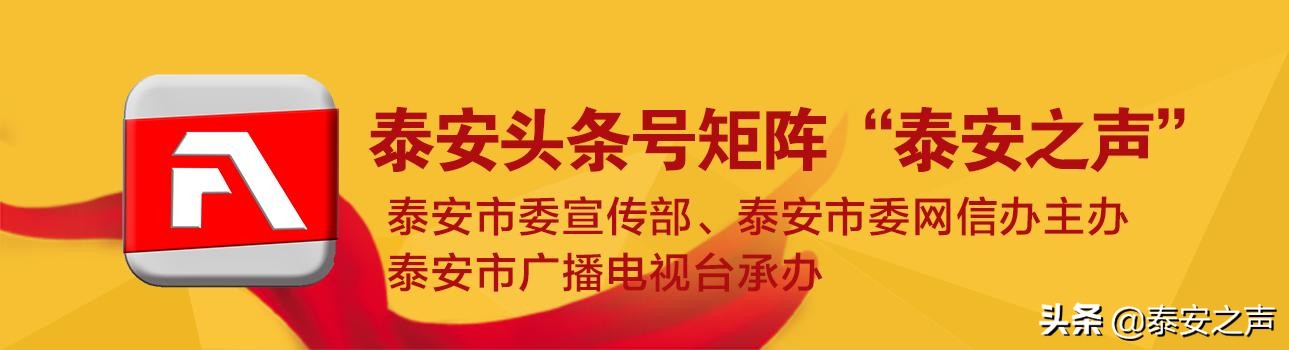 泰安这些长途线路班车恢复啦！