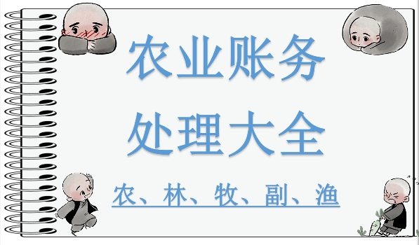 农业会计的寻宝之旅：这套超全账务处理大全被我找到了！开心加倍