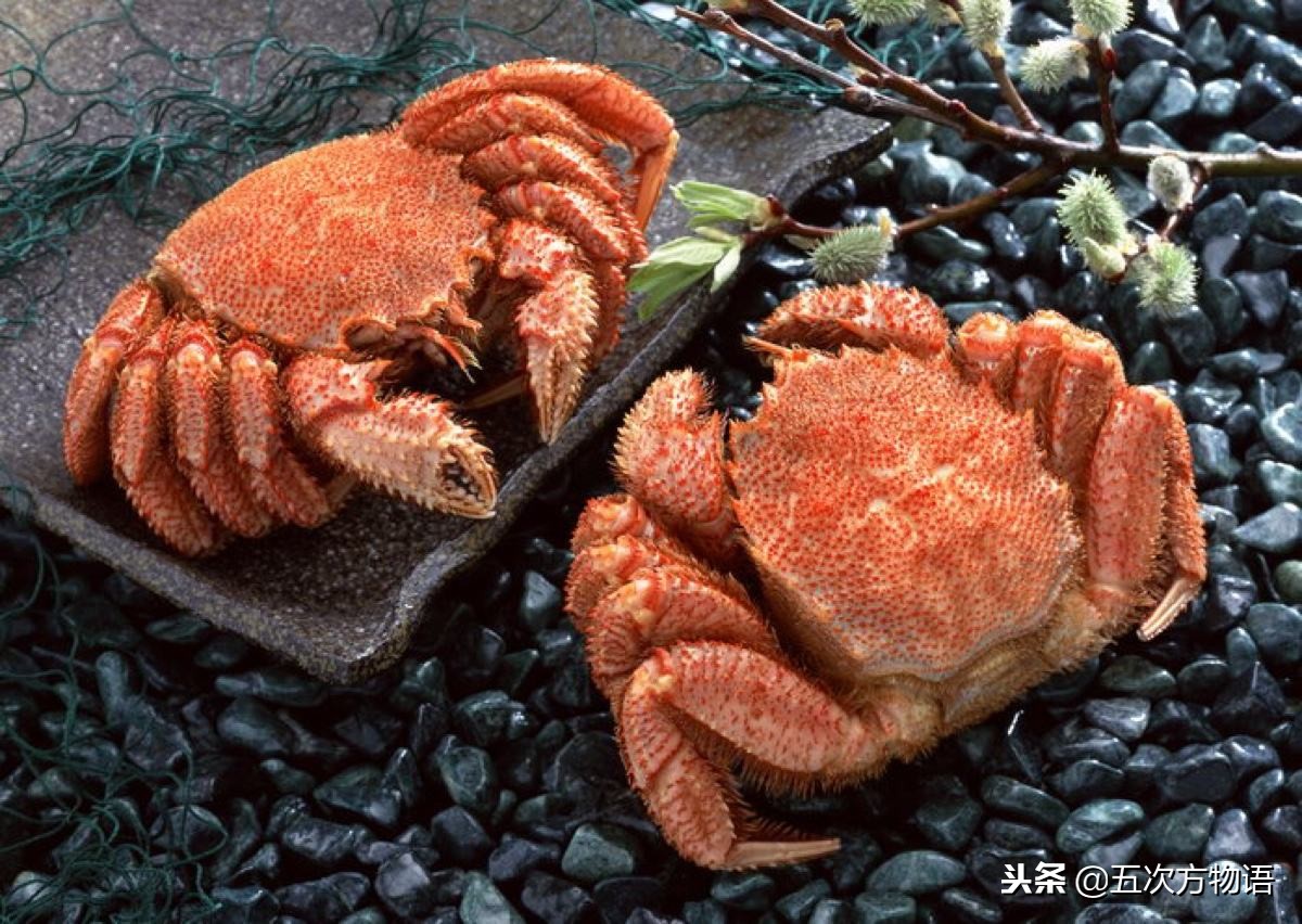 青岛螃蟹大全!建议收藏