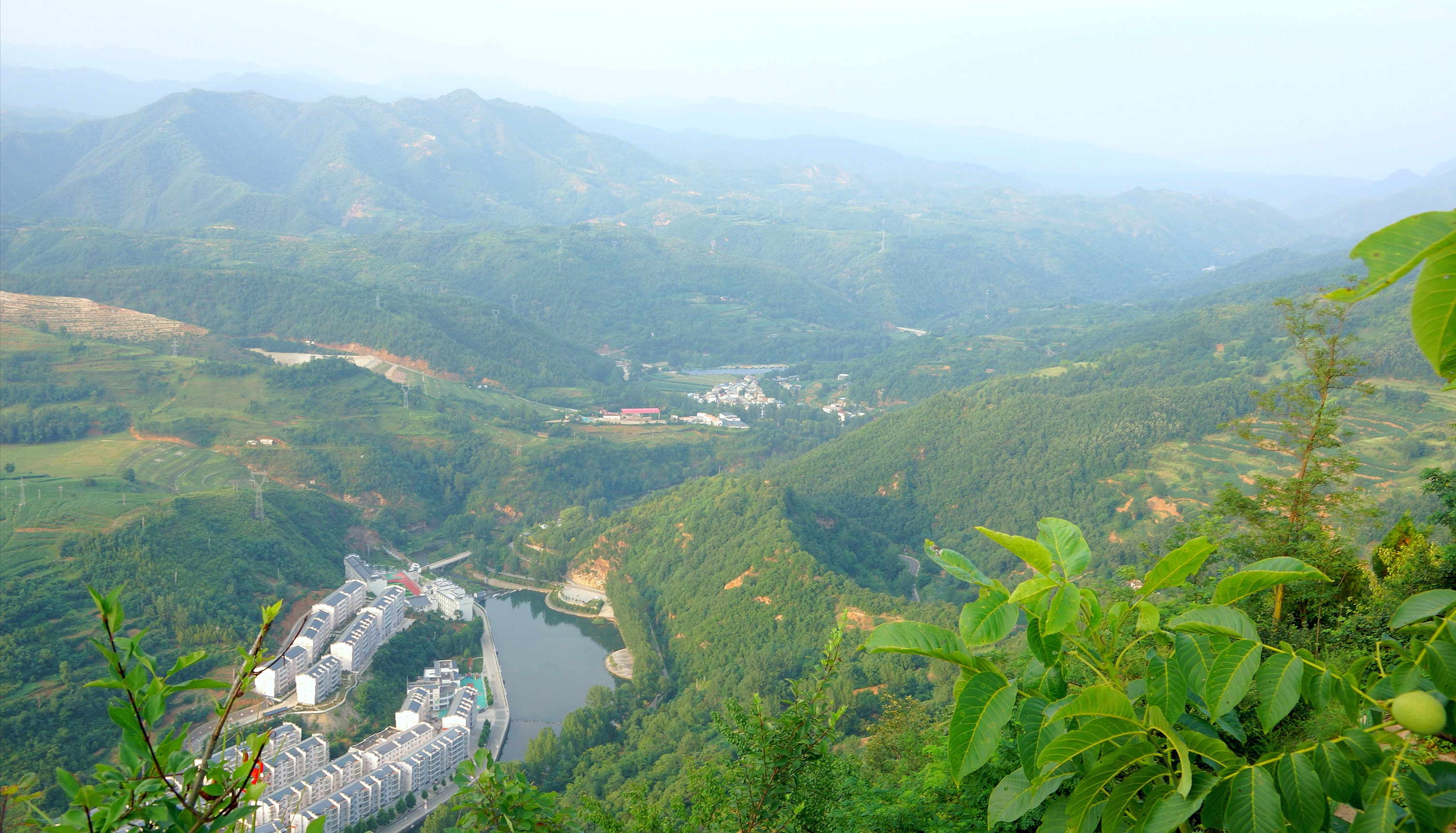 洛阳王府竹海景区李益民：让村民享受青山绿水红利，让游客饱眼福