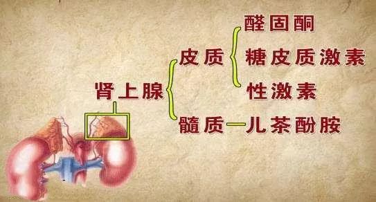 風溼病患者談