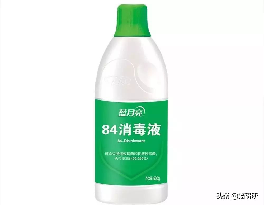 铲屎官必读：猫癣的家庭诊断与用药指南