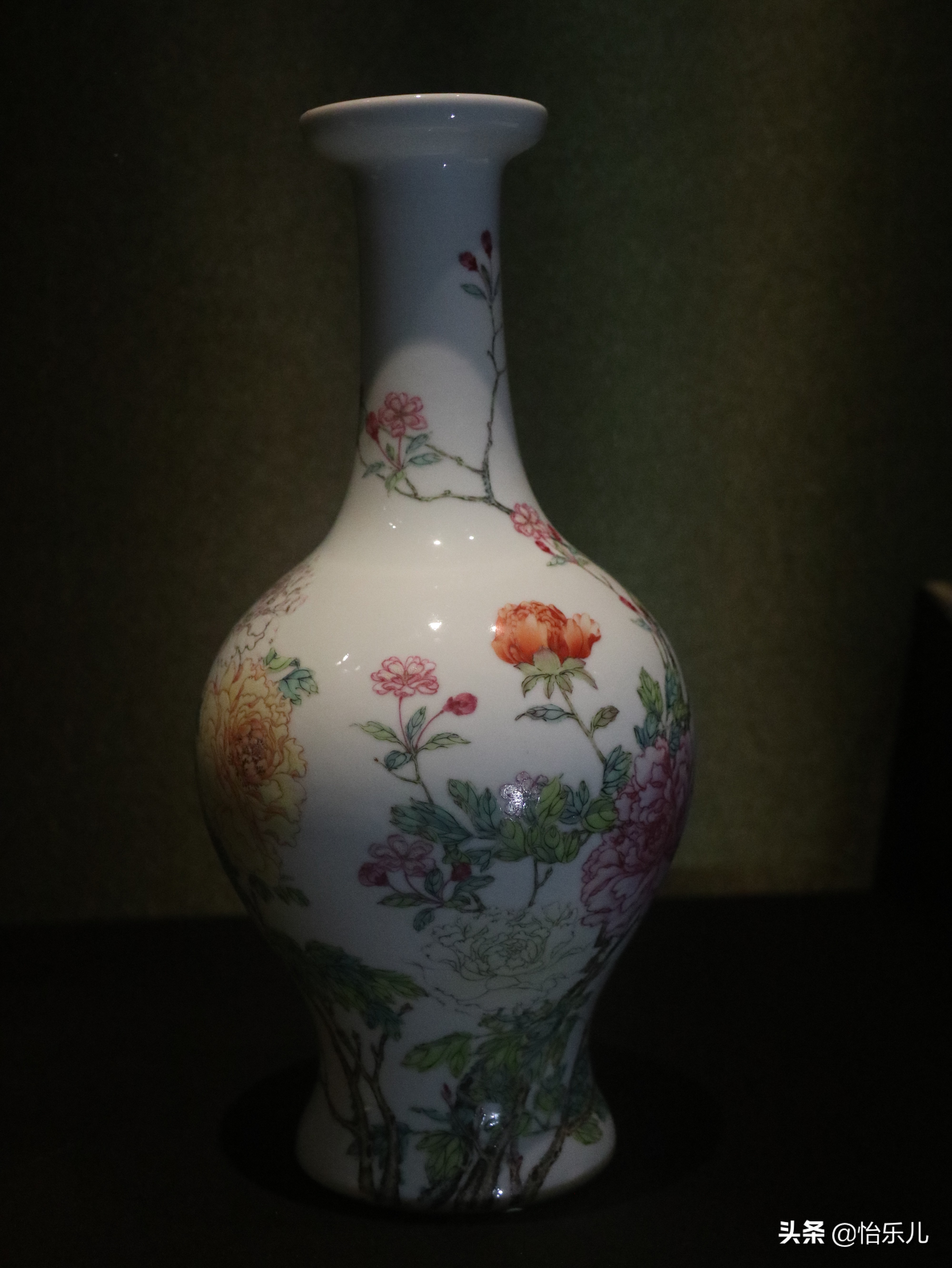 结婚证上印的这朵花不简单，被雍正称为“人间第一花”