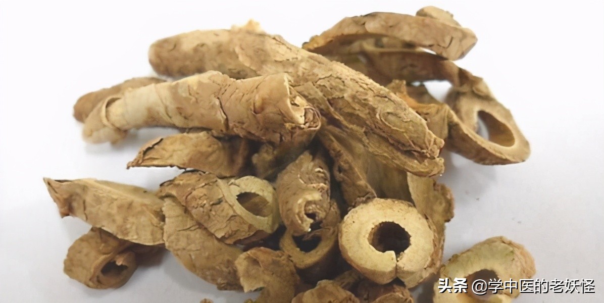 五加皮的功效与作用祛风湿强筋骨