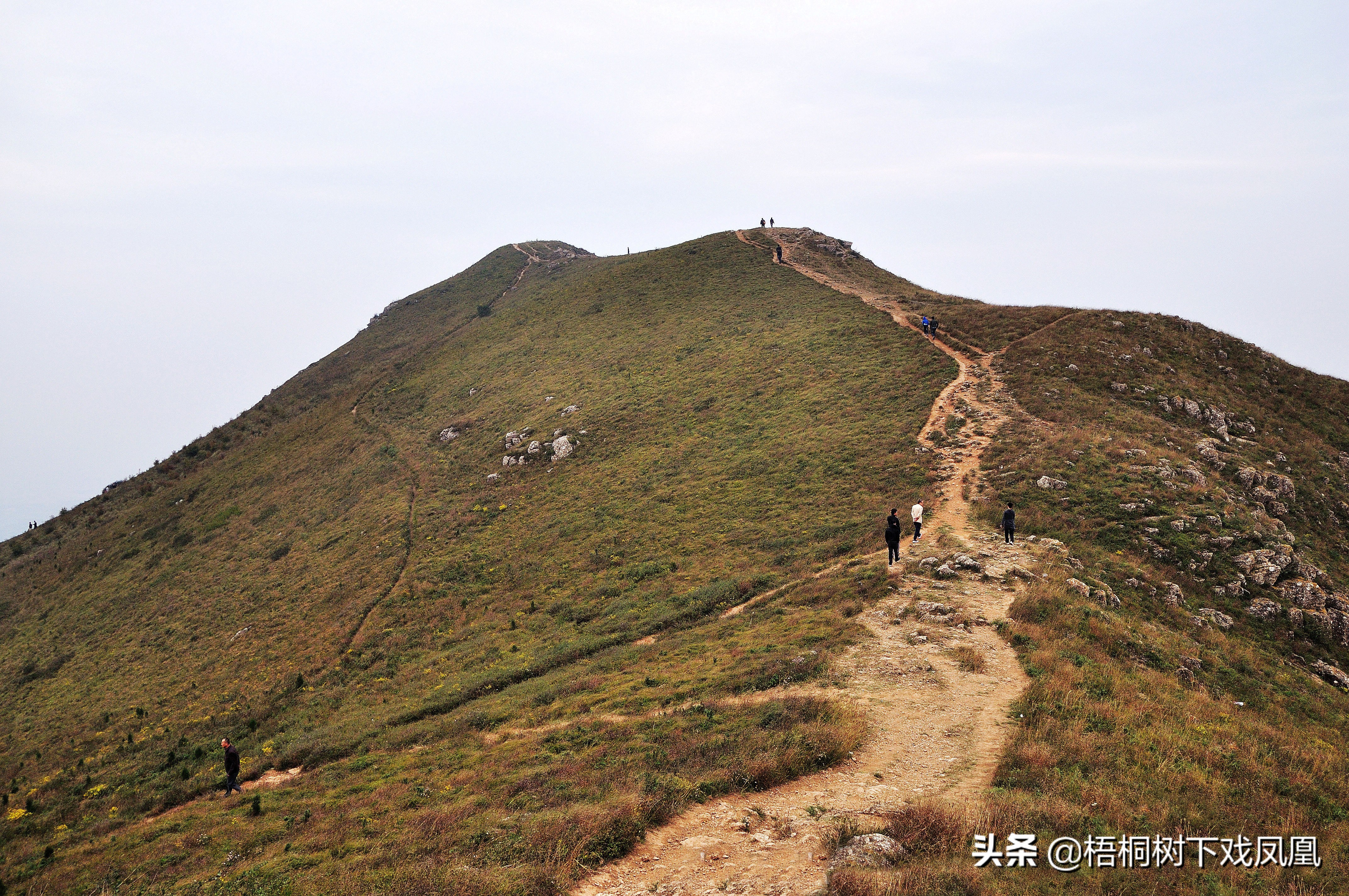 皇帝为什么要生前造好自己的陵墓？李世民说了实话，理由有点意外