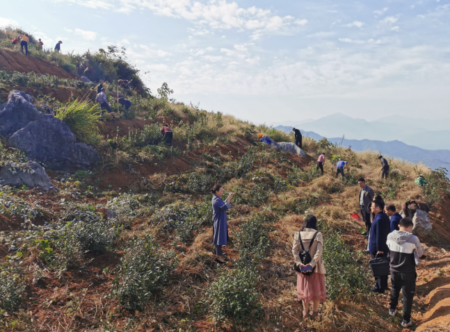 农旅融合促发展 阳新县石下村绣出村民幸福“山居图”