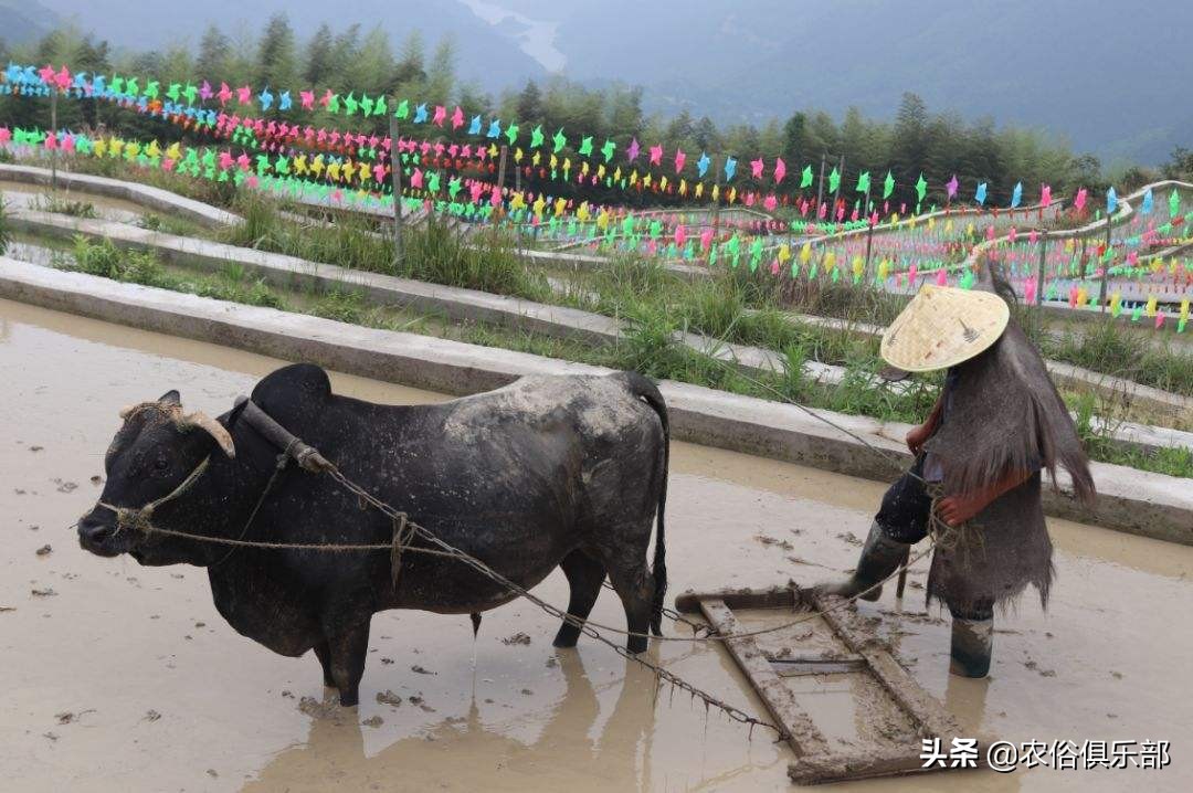 冬至晴一天，春节雨雪连！干净冬，必脏年！用农俗预测天气准不准