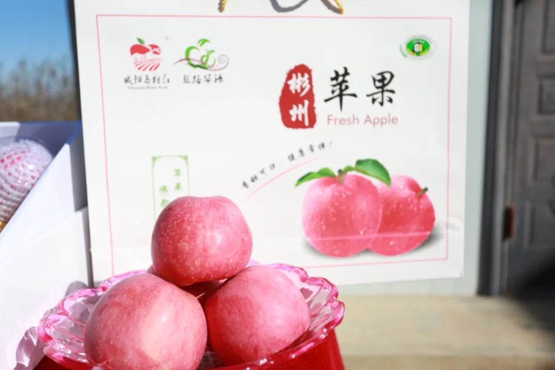 彬州:“互联网+农业”群众增收致富的新路子