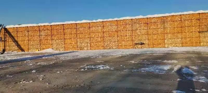 吉林省玉米获大丰收，而保护性耕作产量更高出一截，这三条很关键