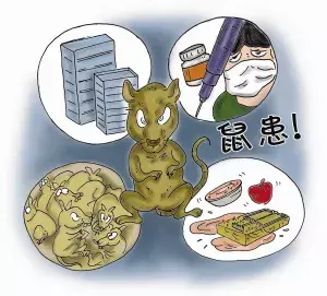 西安一学生因老鼠肆虐致死，老鼠引起的出血热不容小视！