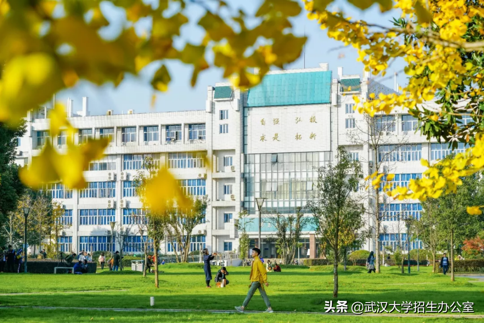 超50万人报考！来武汉大学，2025年，你将拥有“无价之物”！