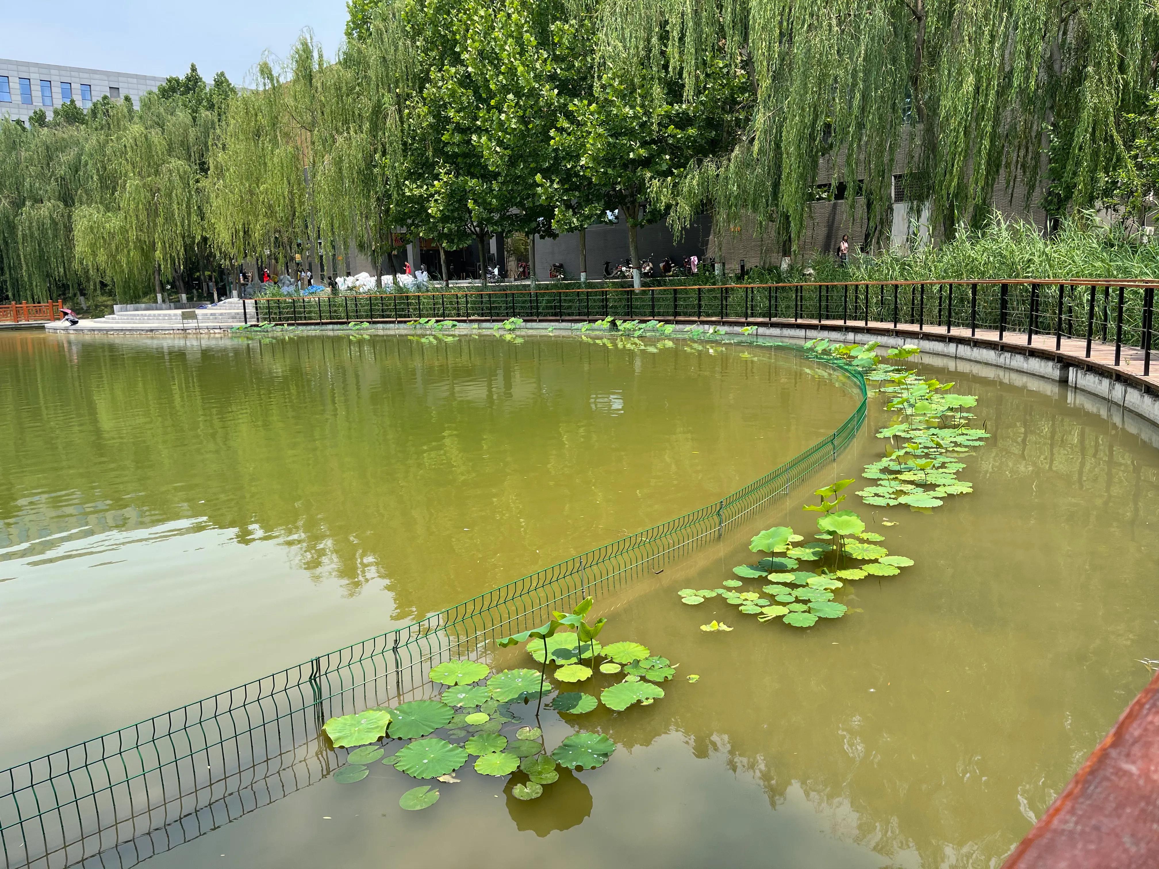 河北师大—惠泉