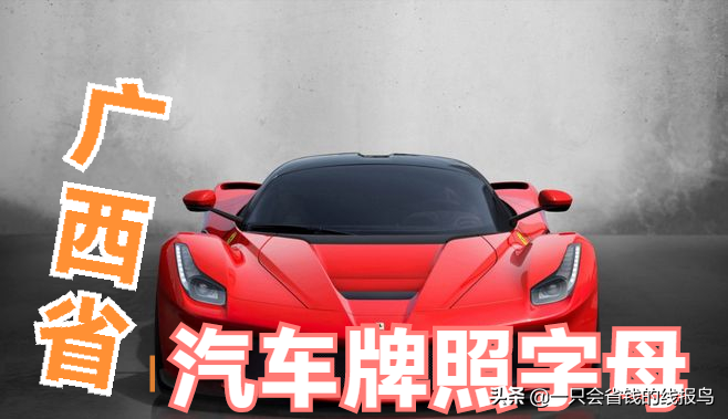 å¹¿è¥¿å£®æ—�è‡ªæ²»åŒºæ±½è½¦ç‰Œç…§å&shy;—æ¯�æ�’åº�