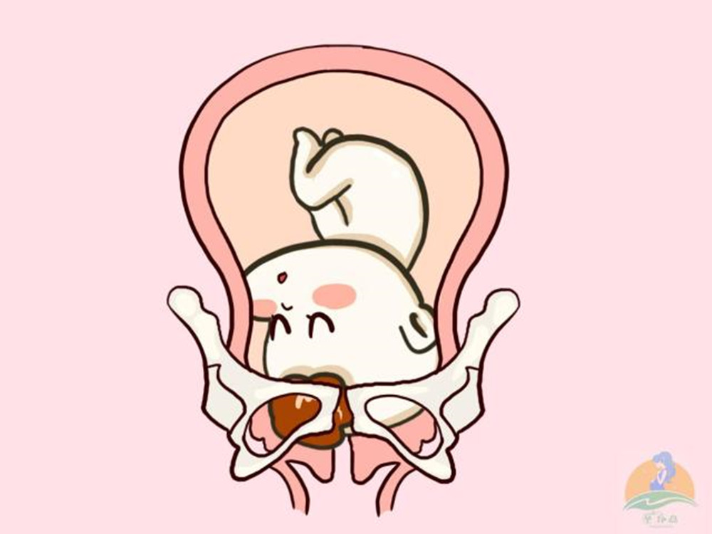 孕晚期出现这几种感觉，说明胎儿已经入盆，离“卸货”不远了