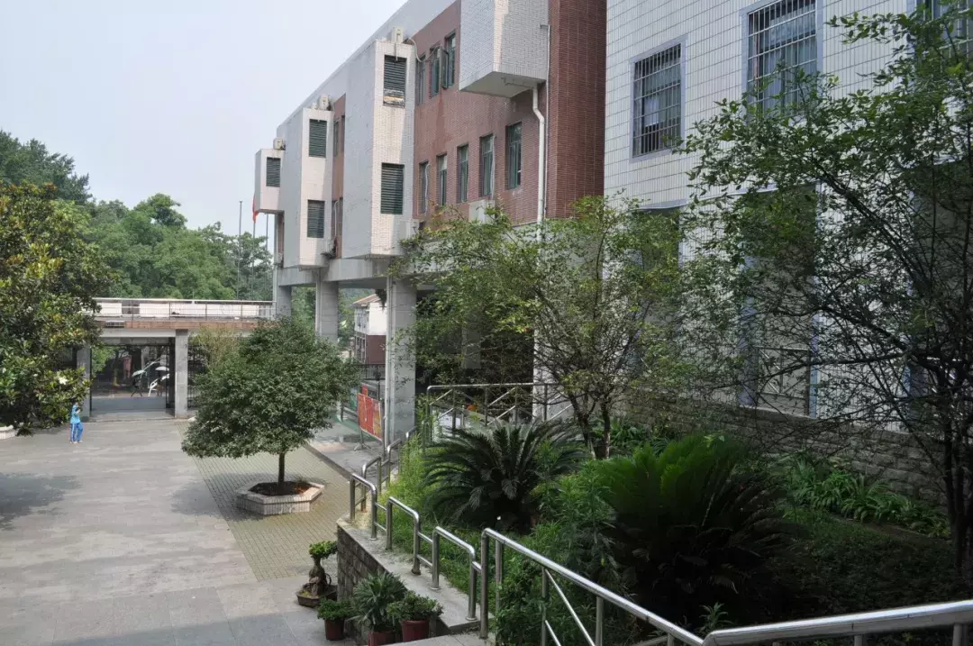 长沙城区小升初可以择校的公办学校，真的不用了解一下吗？