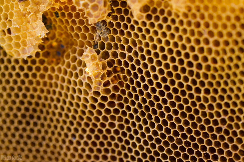 中心化和去中心化，集群和分布式之间的区别和联系