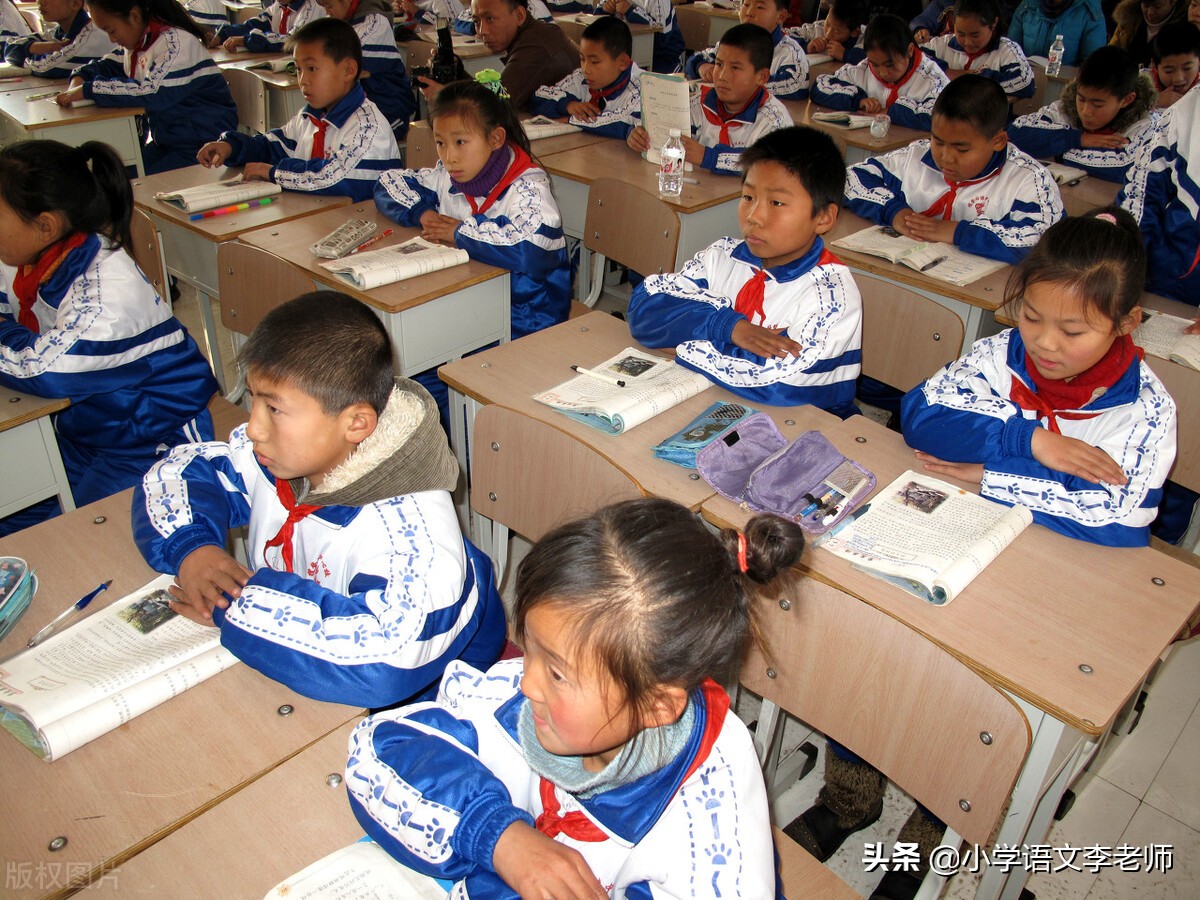 小学语文教学宝典：老师用心整理，助你轻松掌握语法与写作技巧