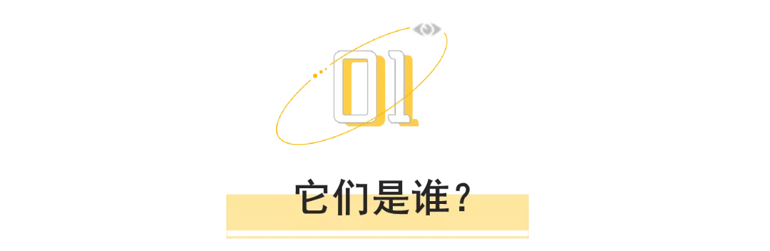 当你偷偷浏览成人网站时，会被谁知道？