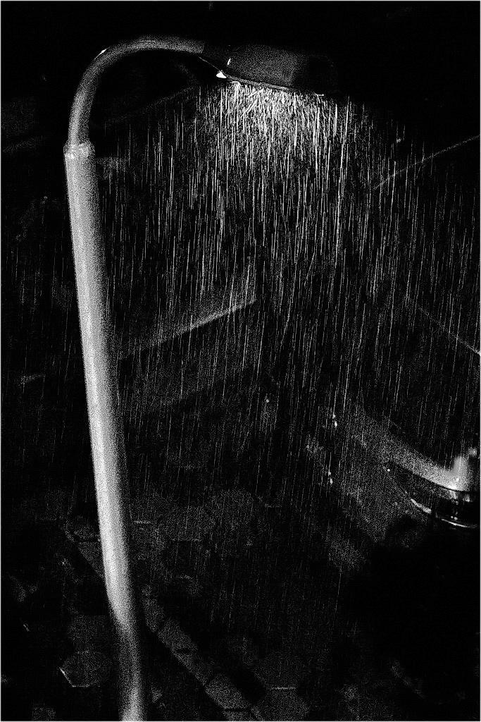 散文:夜半听雨声