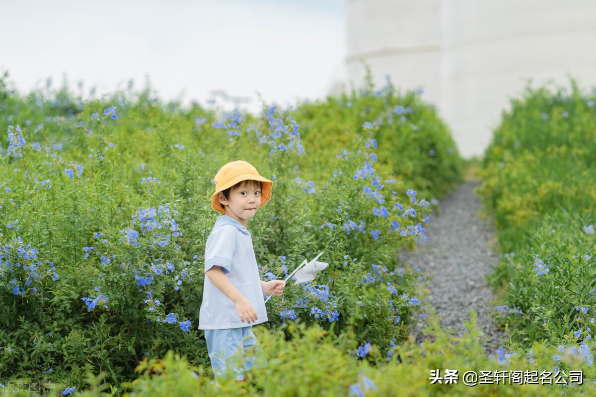 最有内涵的名字(2021宝宝起名取名 寓意一生福寿安康的男孩女孩名字大全)