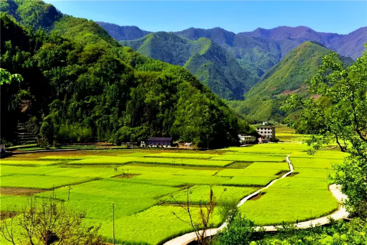 春有千畝油菜滿坪金黃,夏有綠林稻海碧波盪漾,秋有漫山紅葉稻米飄香