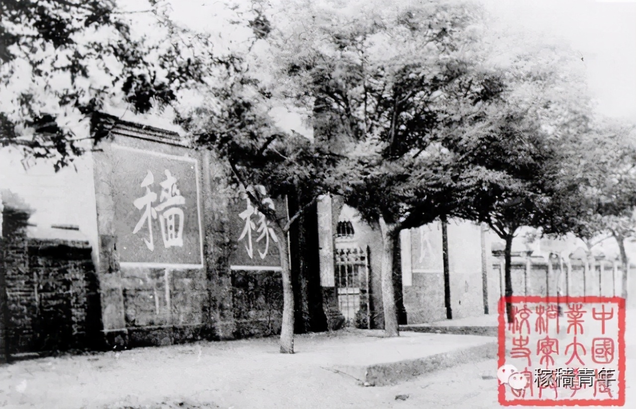 真正的“百年名校”：入选一流大学A类，学科跻身世界十强，成果全球瞩目！