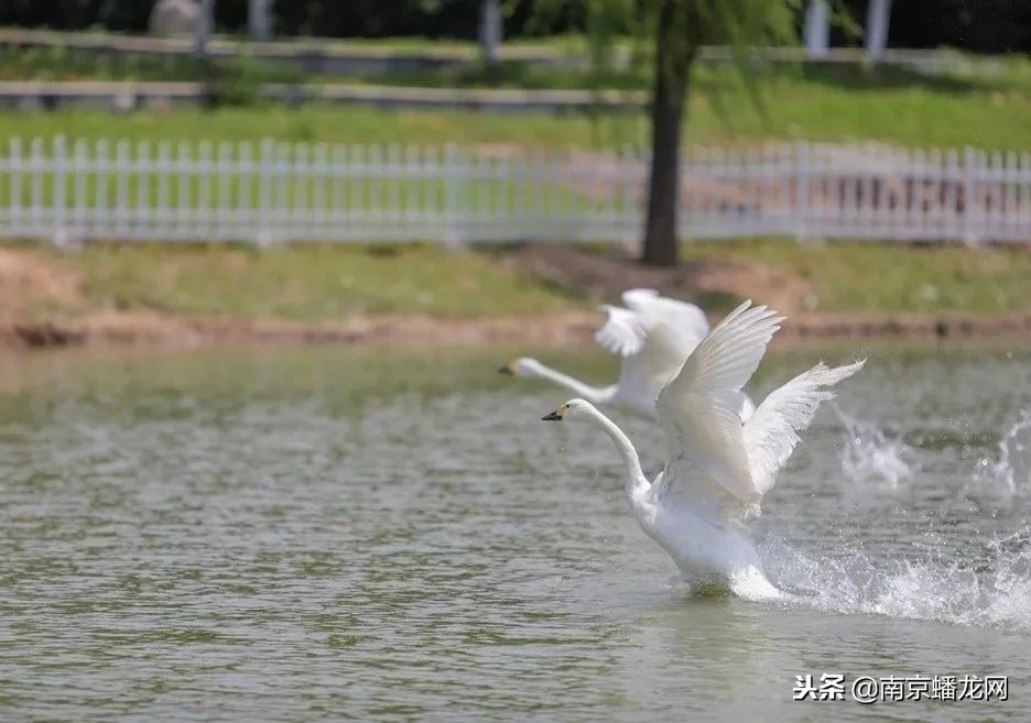 南京信息工程大学，又火了！