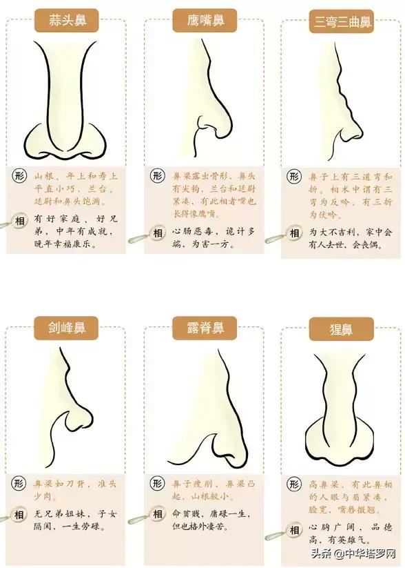 你今生命运如何,从你鼻子就可看出