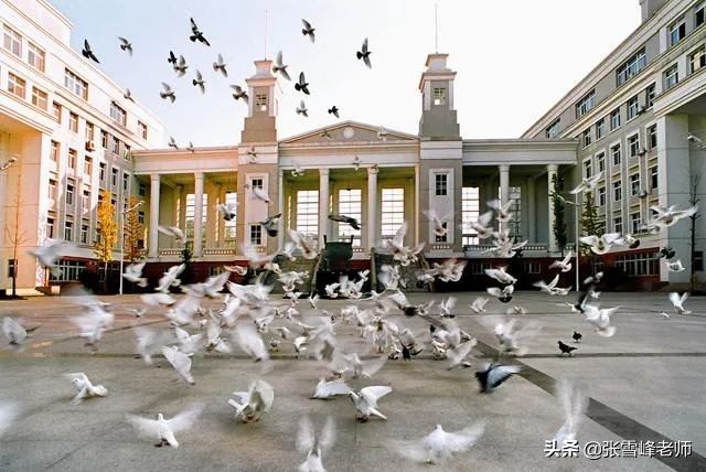 张雪峰教你报高考志愿：实力不输211/985的17所牛校，考上就赚了