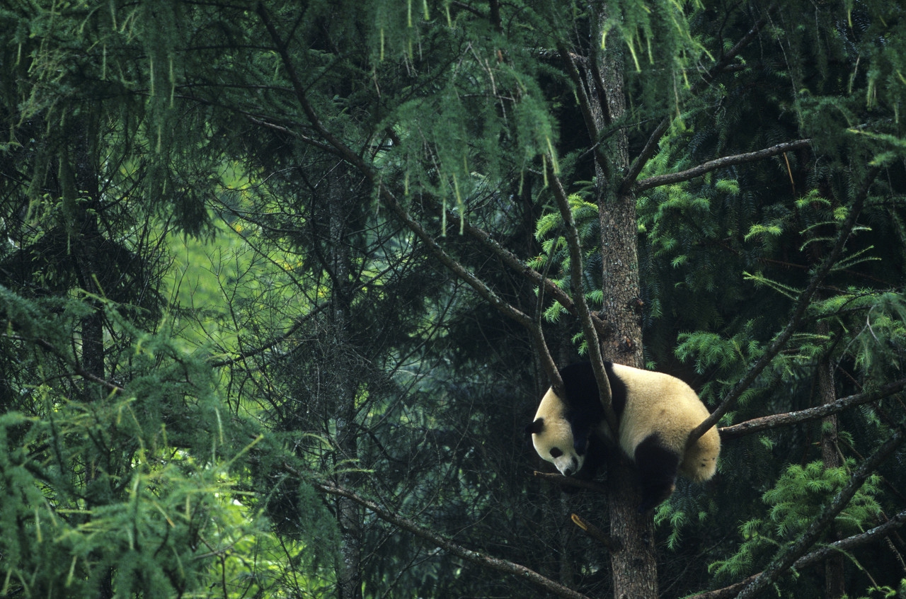 国家级自然保护区总体规划审批管理办法