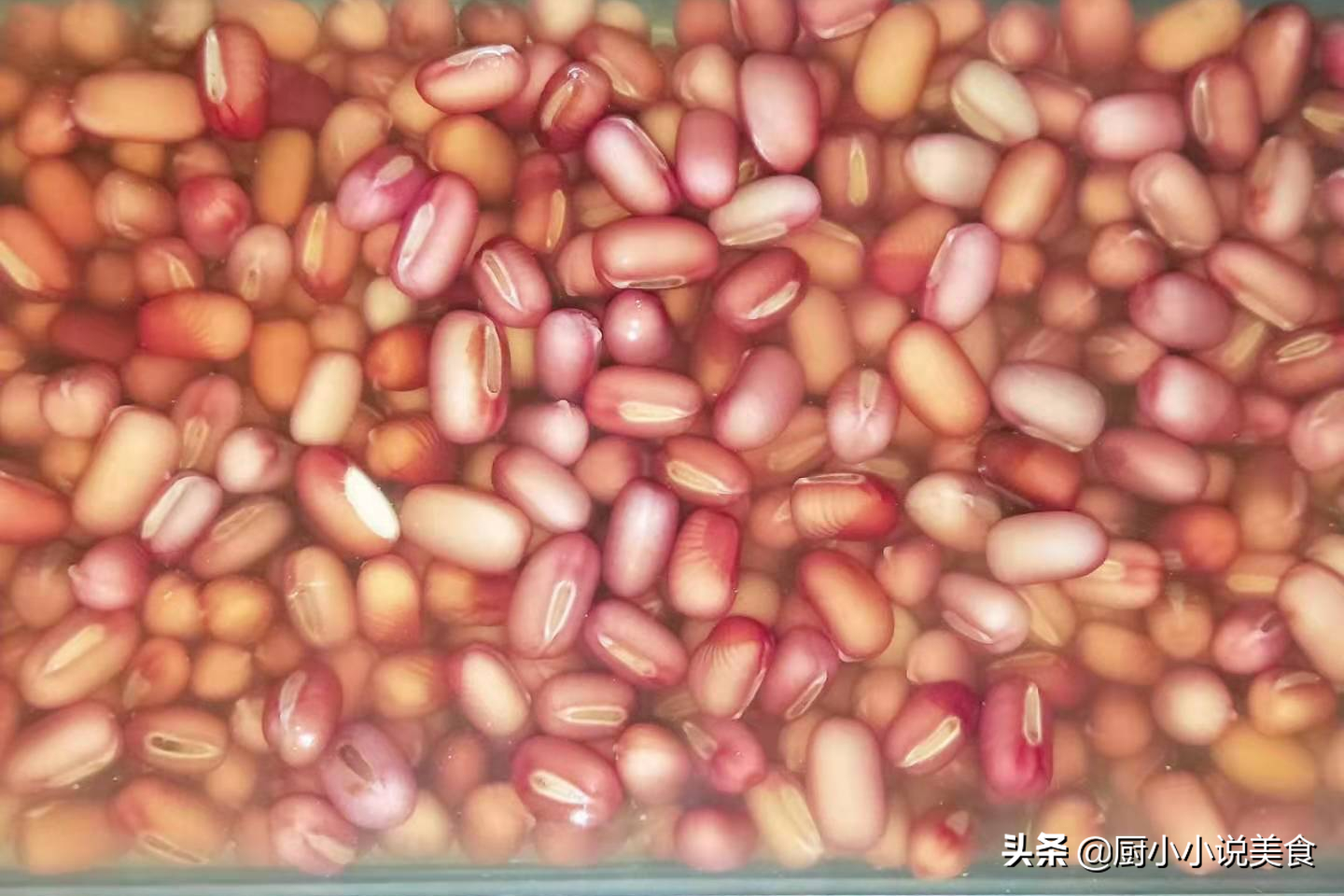紅豆糖水,紅豆糖水的做法