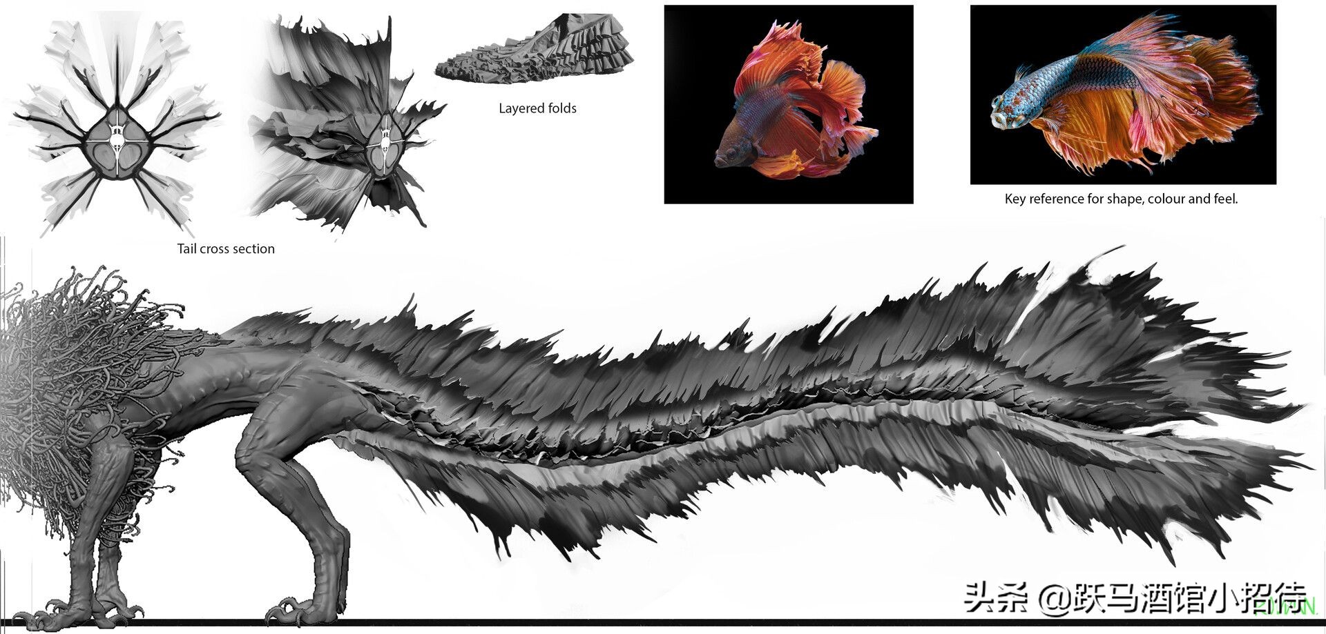 给麻瓜的《神奇动物百科》，魔法世界的动物到底有多神奇（长文）