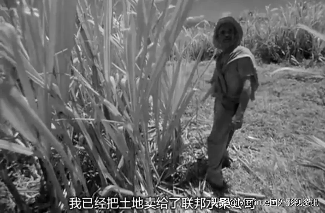 推荐10部高分冷门电影:这么好看的电影,怎么还能是冷门?