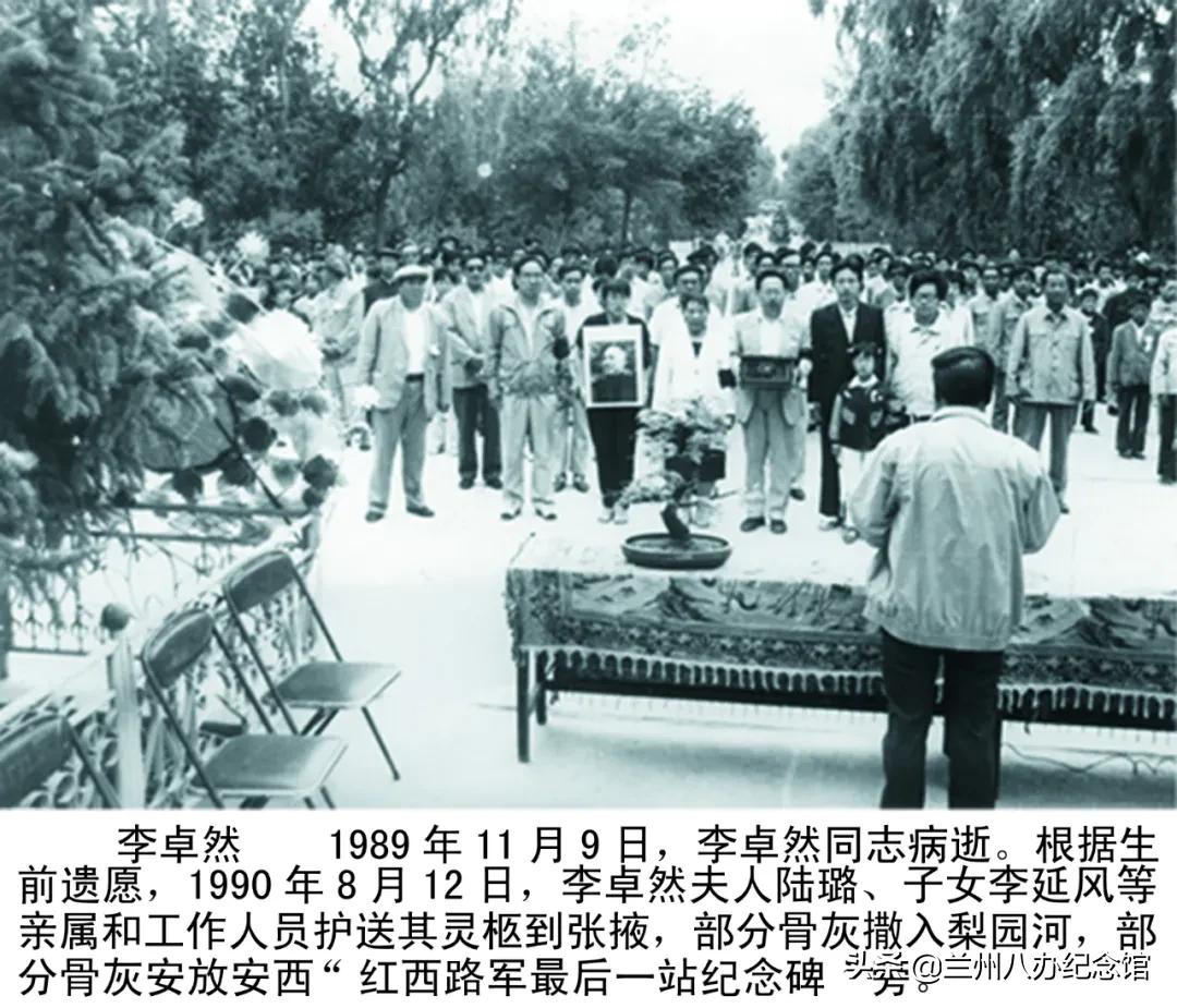 在线观展 