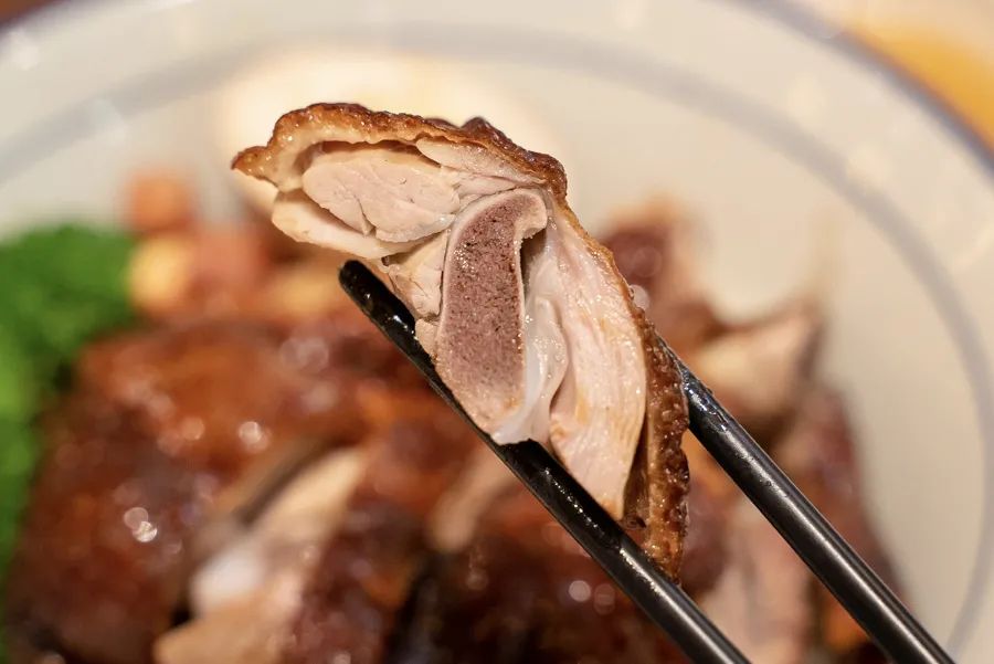 魔都平价又好吃的烧鸭/油鸡饭有哪些？