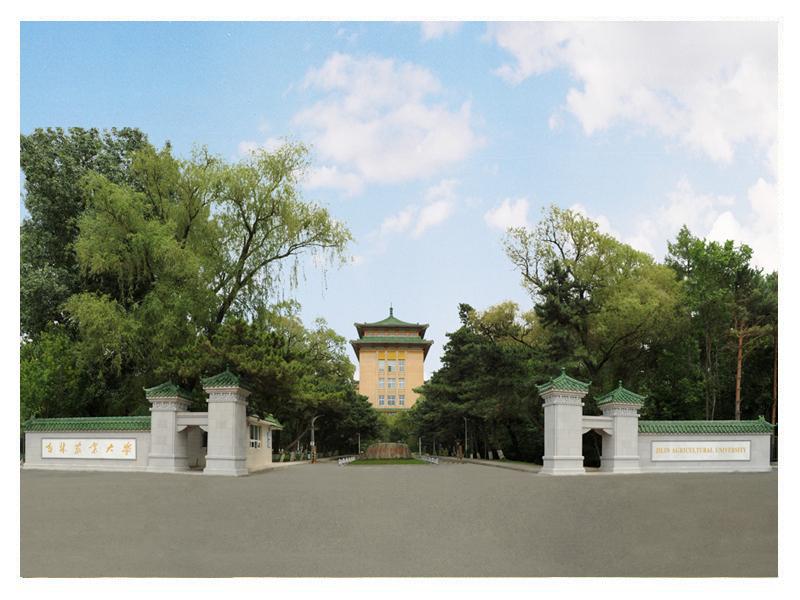 东北不仅仅有东农，这所农业性价比更高！