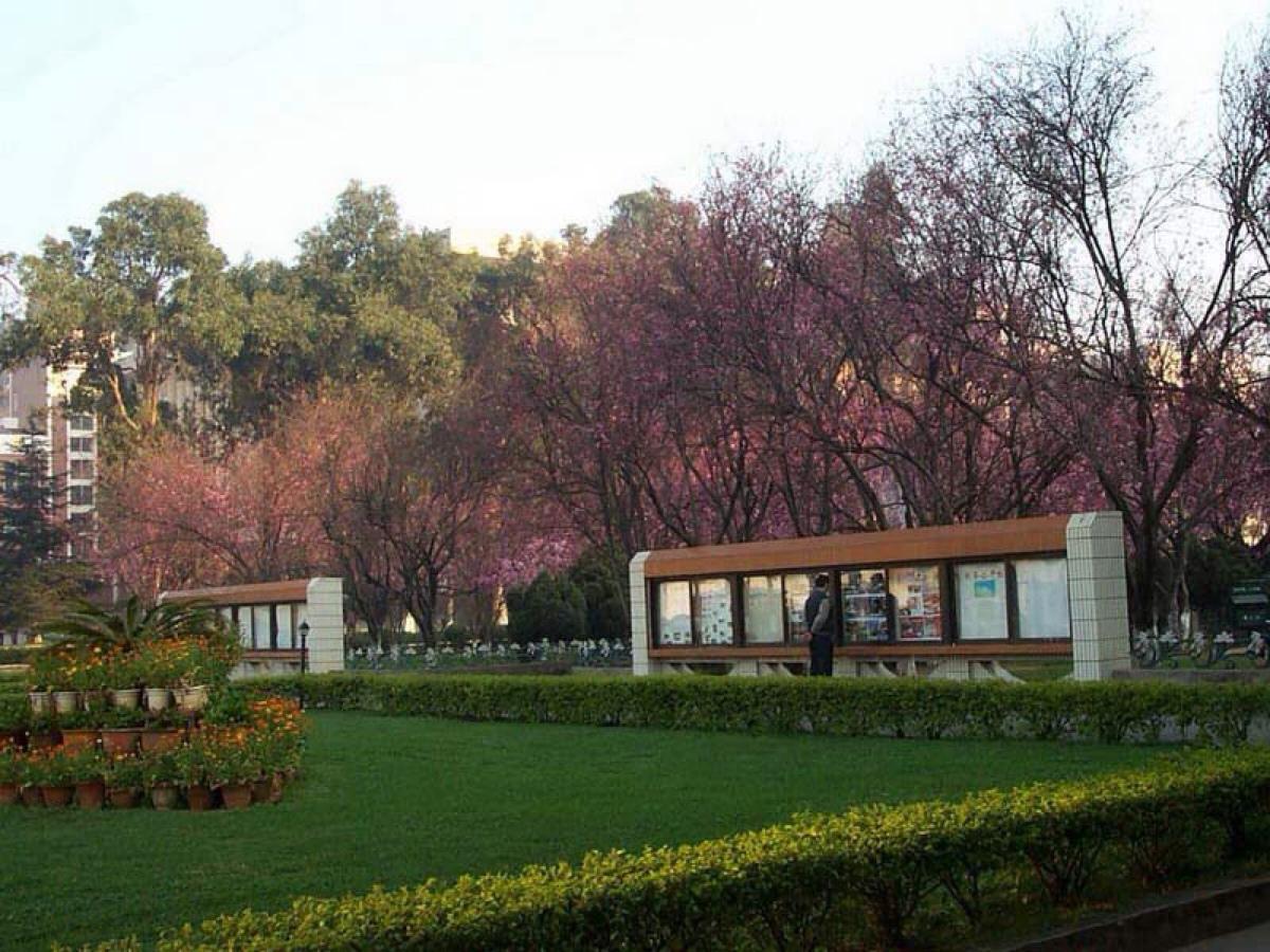 4所极具性价比的二本高校，二本的录取分数，却是一本高校