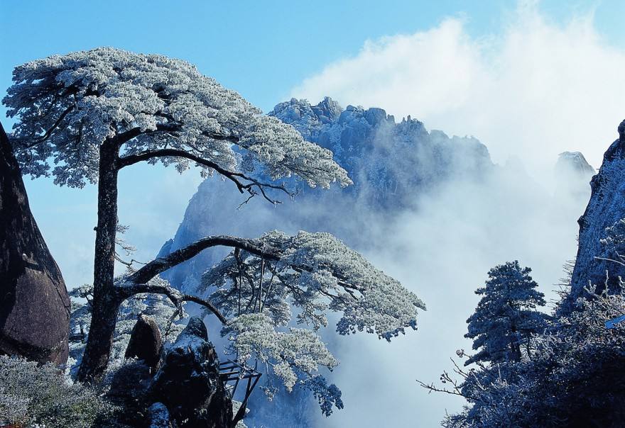 峰奇石奇松更奇——最美黄山古诗词