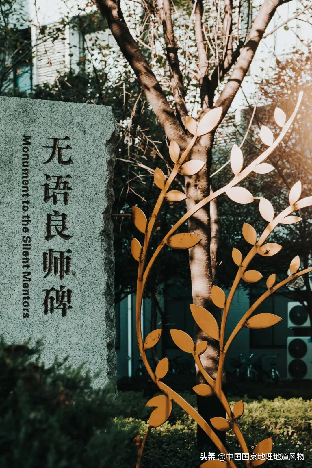 承包了“海港溪泉”的浙江大学，到底有多美？