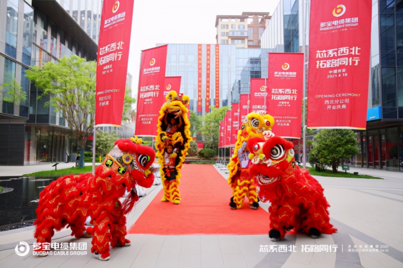 “芯系西北 拓路同行”多宝电缆集团西北分公司盛大开业