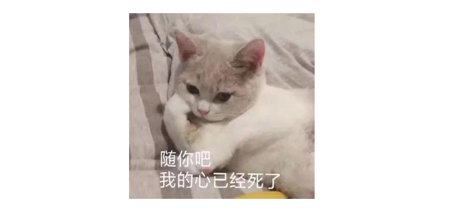 QQ邮箱里发错邮件了！原来还可以撤回？来看看还有哪些隐藏功能
