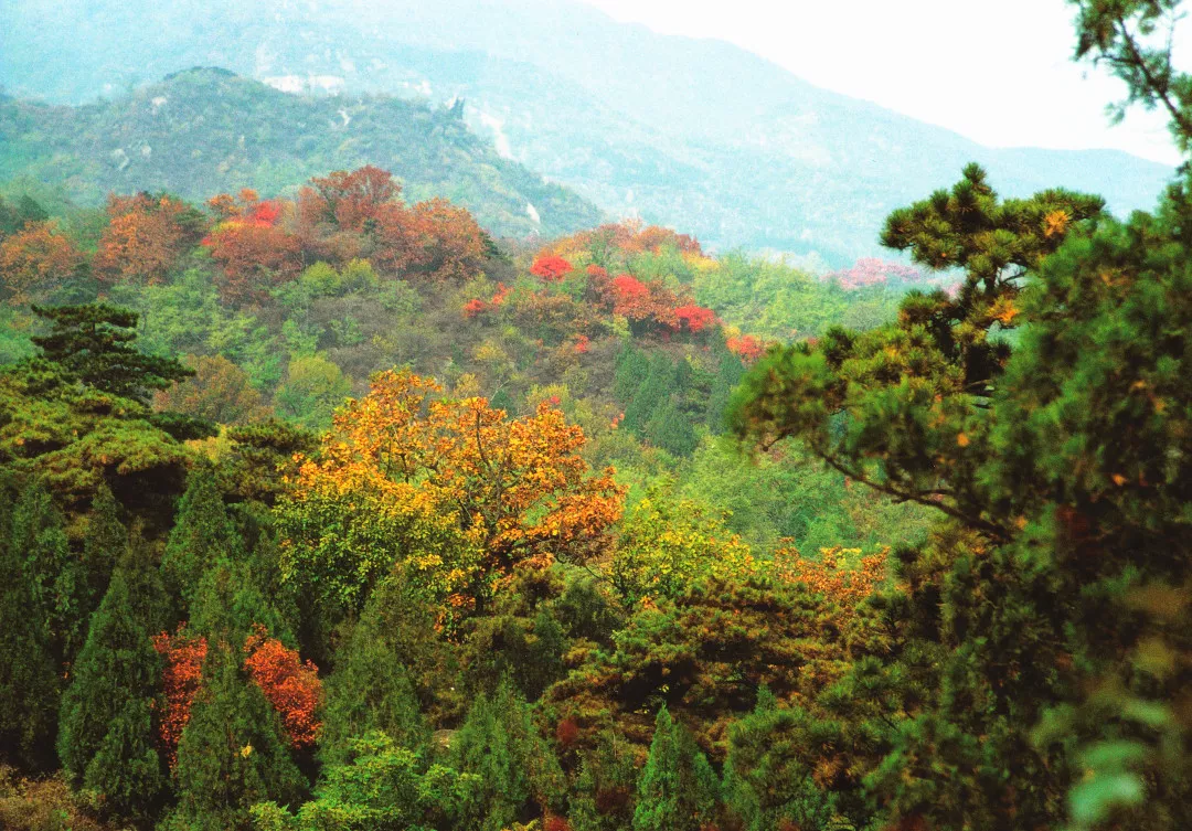 高考倒计时10天！全国最高