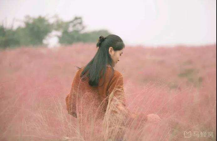 成都经典一日游：15个市内景点，地铁直达，全民撒欢玩