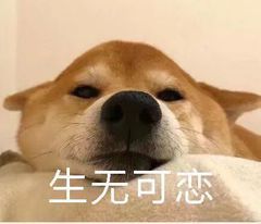 别再花大价钱去做美牙手术了，不会刷牙，就算你花再多钱也白费